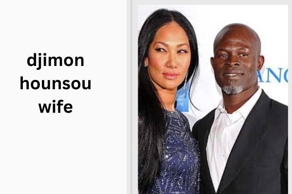 djimon hounsou wife